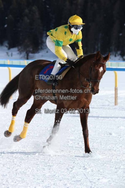 ET0Q0750 prot